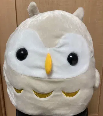 코토리대 올빼미 봉제 인형