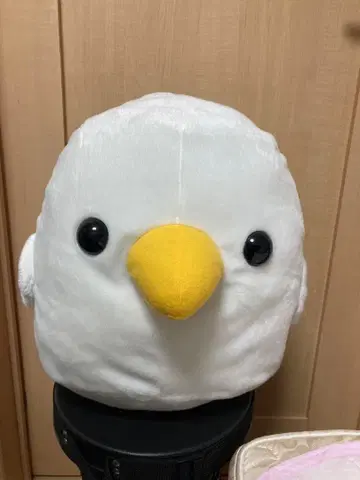 코토리타이 갈매기 봉제 인형