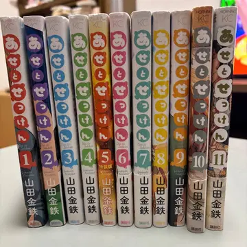 아세토셋켄 전 11권 세트