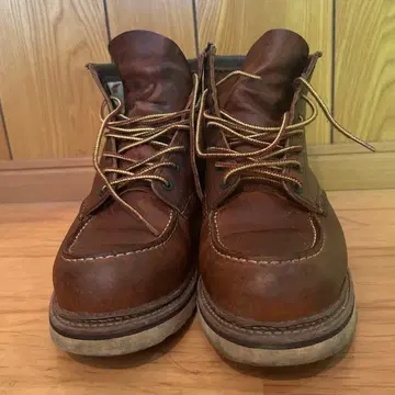 레드윙 USA 9 1907 아이리쉬 세터 2013년제