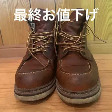 레드윙 USA 9 1907 아이리쉬 세터 2013년제