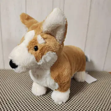 제리캣 코기 강아지 영국 한정판