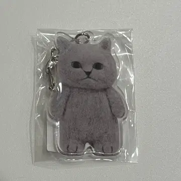 sleepy sheep 생활의 즐거움전 아크릴 키링 고양이 호보니치