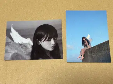 노기자카46 이케다 에이샤 개인전 Wings 오리의 꿈 스티커