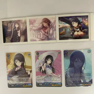 프로세카 호시노 이치카 (노블, 파샤코레, 특전, 묶음 판매)