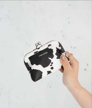 THE CASE 소 패턴 코인 케이스