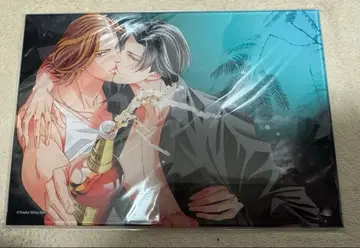 미개봉 봄을 안고 있었다 미니 아크릴 아트 C