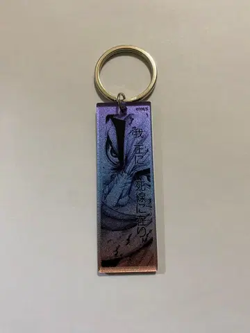 킹덤 메탈릭 아크릴 키링 컬렉션 왕기