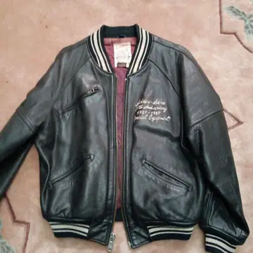 아비렉스 50주년 기념 모델 아치 로고 블루종