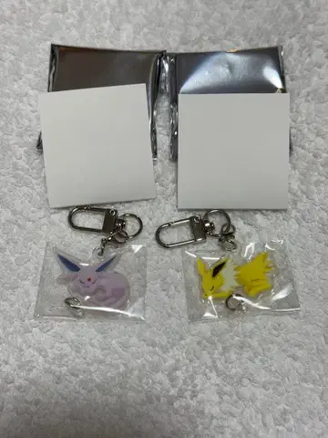 포켓몬 슬립 아크릴 참 썬더스 에브이