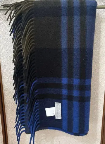 컨디션 최상 조슈아 에리스 캐시미어 스톨 Deuxieme Classe