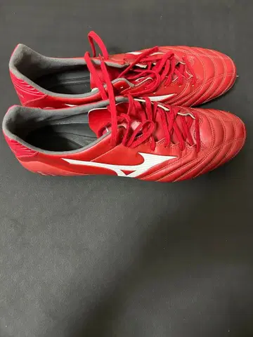 Mizuno MONARCIDA NEO 29.0cm