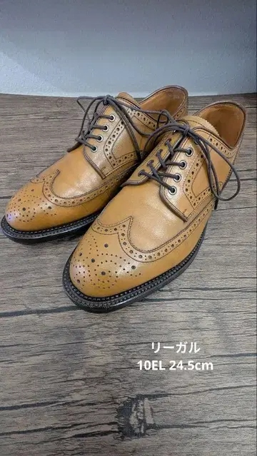 REGAL 리갈 10EL 24.5cm