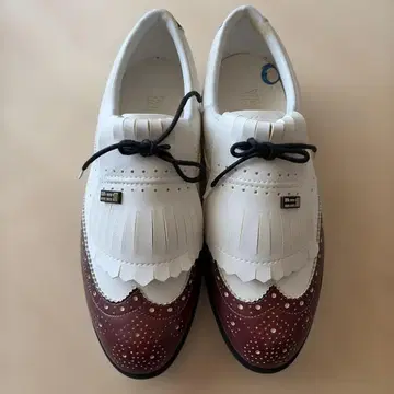 미사용 야마하 골프화 22.5cm