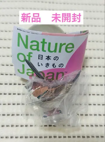 네이처 테크니컬러 일본의 생물 03 가챠 참새