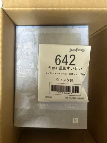 figma 호시마치 스이세이 굿스마일컴퍼니 공식샵 특전 윙크