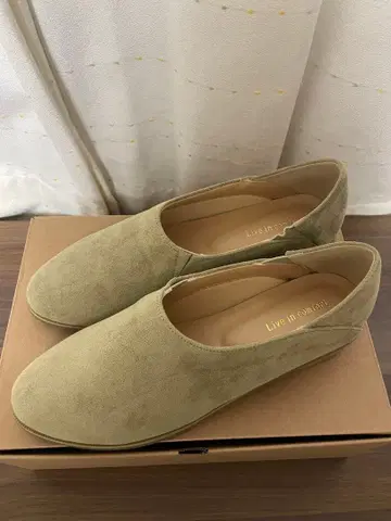 Live in comfort 하마지와 콜라보 플랫 슈티