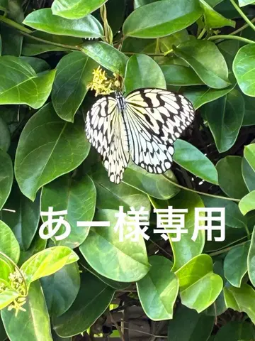 리메이크 t셔츠 and 핸드메이드 장지갑