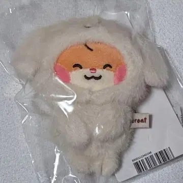 ZB1 제로니 봉제 인형 마그넷 사진 홀더 한빈 비니니