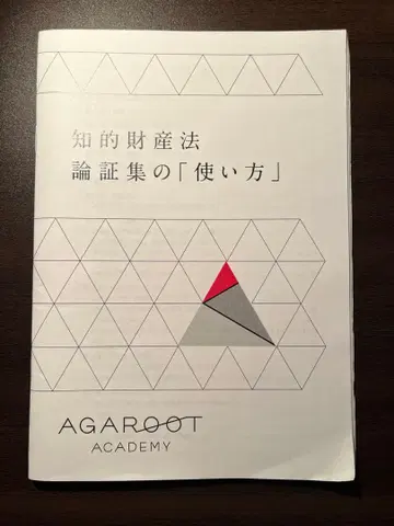 아갈루트 지적재산법 논증집