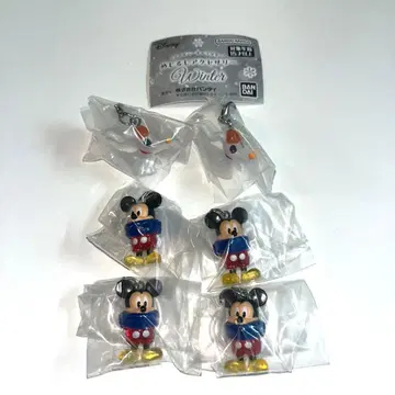 디즈니 캐릭터 Winter 메지루시 액세서리 6개 세트