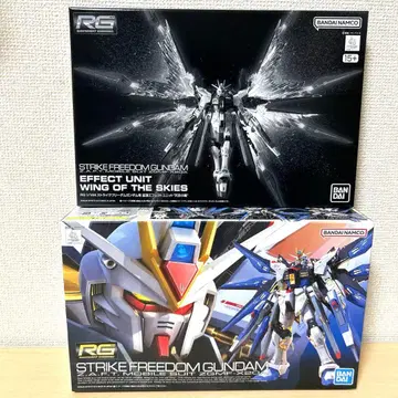 RG 스트라이크 프리덤 건담 & 확장 이펙트 유닛 '천공의 날개' 세트