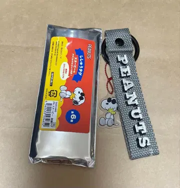 PEANUTS 스누피 시크릿 자수 택