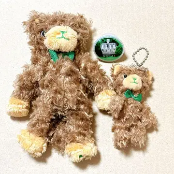 우타프리 프린스 캣 베르데