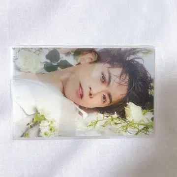 이토 켄토 렌티큘러 카드