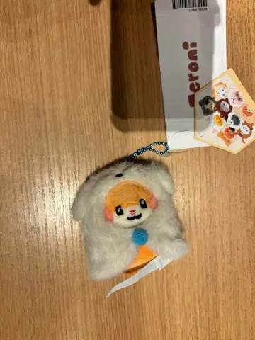 [한정 할인가] ZB1 제로니 미니 봉제 인형 키링 비니니 한빈