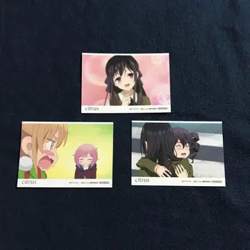 citrus 사브로 우타 특전 브로마이드 3장 세트