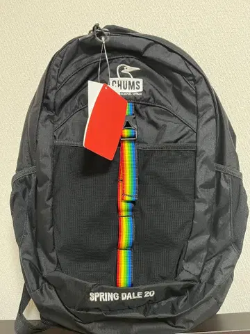 새상품 참스 스프링데일 Spring Dale 20 백팩 블랙