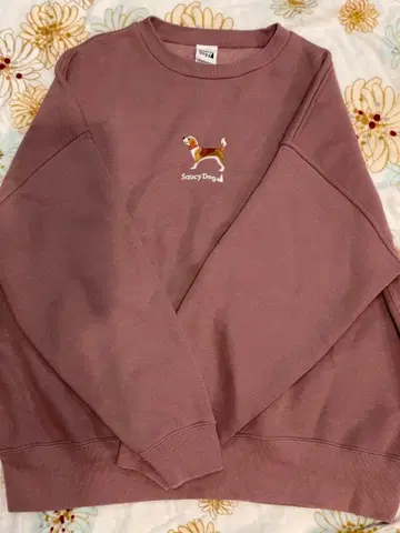 Saucy Dog 사우시도그 강아지 맨투맨 비글 핑크 M 사이즈