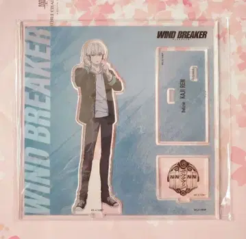 윈블 베이스야드 카지 렌