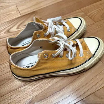 CT70 썬플라워 24.5cm