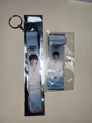 SEVENTEEN NEW_ 야바톤 플래그 DINO