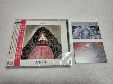 천사의 알 영화 혜택 CD 물에 사는