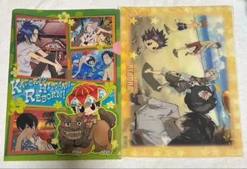 [ 익명 배송 ] 리본 클리어 파일 오키나와 비치 REBORN