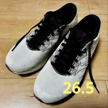 미즈노 Mizuno Wave Rider 26 ( 26.5cm )