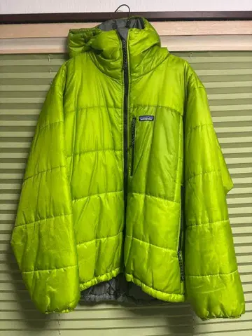 새상품급 파타고니아 다스파카 게코 그린