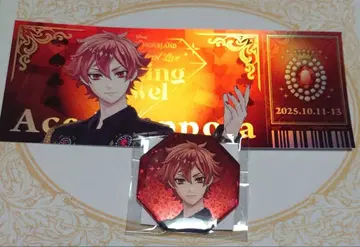 트위스테 에이스 브레쥬 캔뱃지, 카드