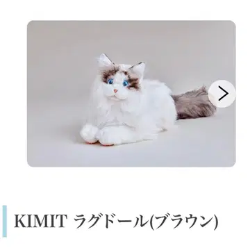 KIMIT 랙돌(브라운) 반려동물 로봇 컨디션 최상