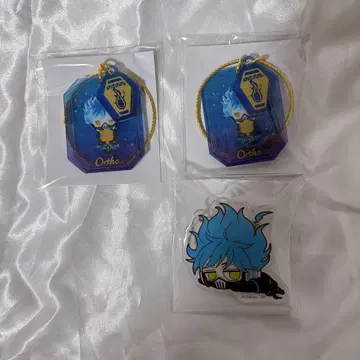 트위스테 오르토 묶음 판매