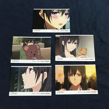 citrus 사부로 우타 혜택 브로마이드 5장 세트 메이