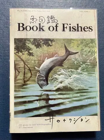 [ 정품 ] 사카낙션 도감