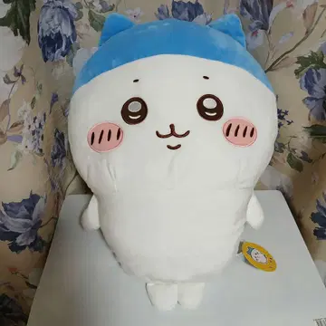 치이카와 (먼작귀) 스포츠 머리 하치와레 초 BIG 봉제 인형