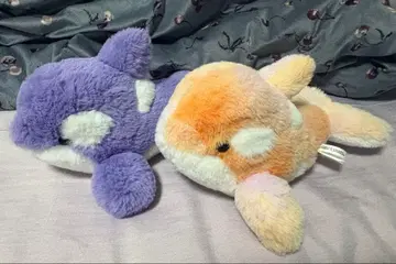 범고래 봉제 인형 2개 세트