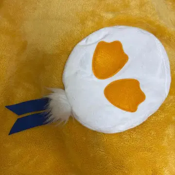 도나파루 베레모