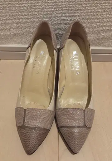DIANA 펌프스