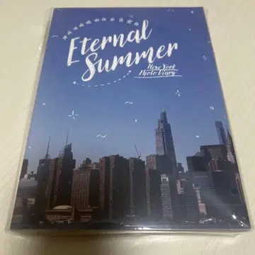Eternal Summer New York Photo Diary